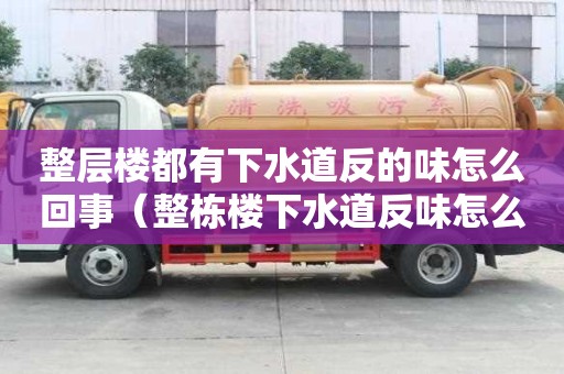 整層樓都有下水道反的味怎么回事（整棟樓下水道反味怎么辦?）