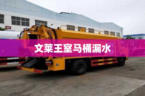 文萊王室馬桶漏水 文萊王室馬桶漏水