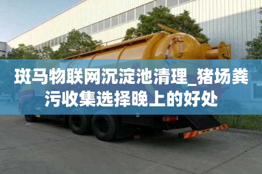 斑馬物聯(lián)網(wǎng)沉淀池清理_豬場糞污收集選擇晚上的好處