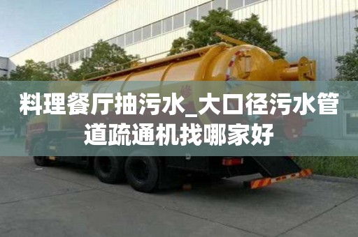 料理餐廳抽污水_大口徑污水管道疏通機找哪家好