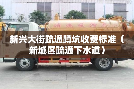 新興大街疏通蹲坑收費(fèi)標(biāo)準(zhǔn)（新城區(qū)疏通下水道）