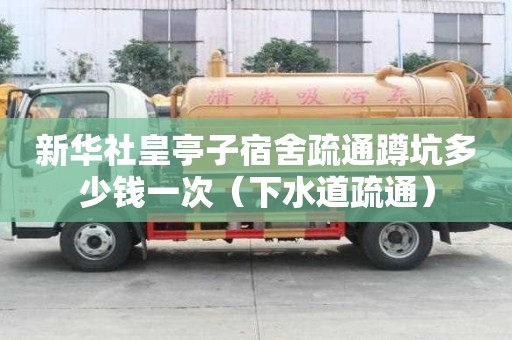 新華社皇亭子宿舍疏通蹲坑多少錢一次（下水道疏通）