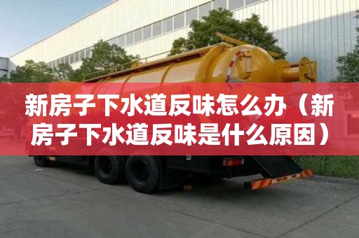 新房子下水道反味怎么辦（新房子下水道反味是什么原因）