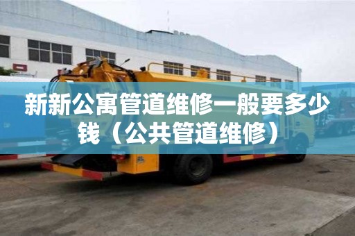 新新公寓管道維修一般要多少錢（公共管道維修）