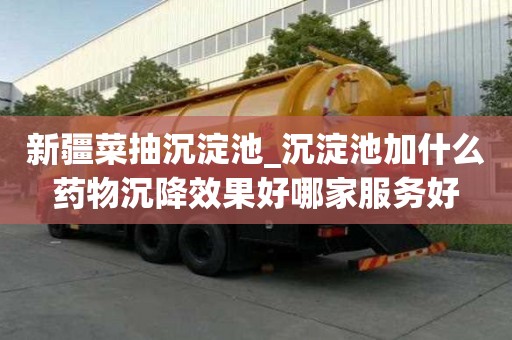 新疆菜抽沉淀池_沉淀池加什么藥物沉降效果好哪家服務好