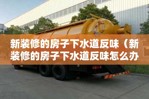 新裝修的房子下水道反味（新裝修的房子下水道反味怎么辦）