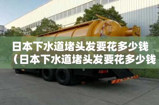 日本下水道堵頭發要花多少錢（日本下水道堵頭發要花多少錢呢）
