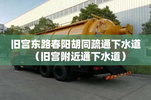舊宮東路春陽胡同疏通下水道（舊宮附近通下水道）