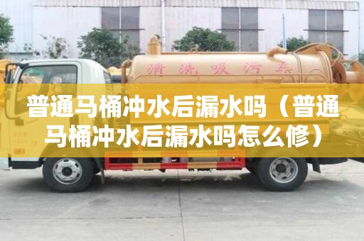 普通馬桶沖水后漏水嗎（普通馬桶沖水后漏水嗎怎么修）