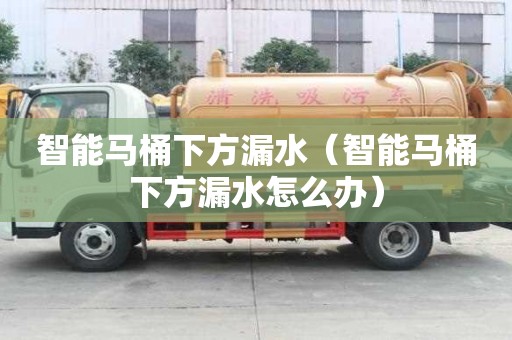 智能馬桶下方漏水（智能馬桶下方漏水怎么辦）