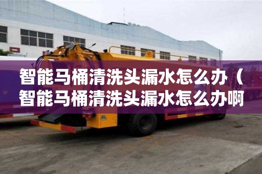 智能馬桶清洗頭漏水怎么辦（智能馬桶清洗頭漏水怎么辦啊）