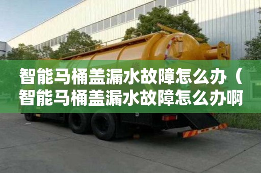 智能馬桶蓋漏水故障怎么辦（智能馬桶蓋漏水故障怎么辦啊）