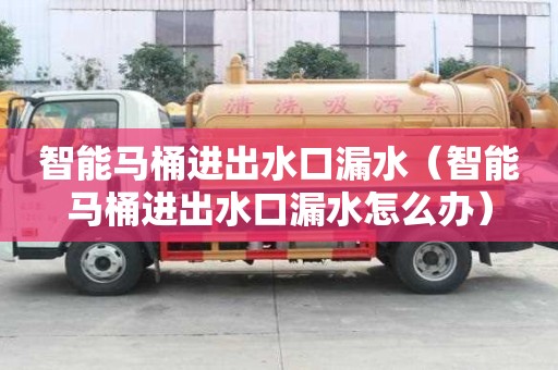 智能馬桶進(jìn)出水口漏水（智能馬桶進(jìn)出水口漏水怎么辦）