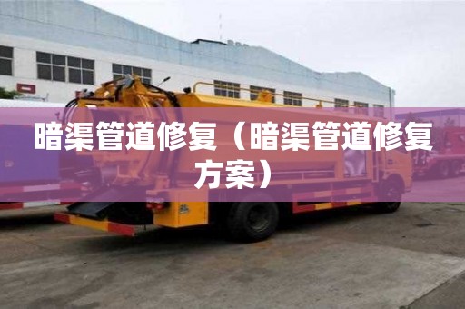 暗渠管道修復(fù)（暗渠管道修復(fù)方案）