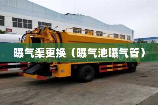 曝氣渠更換（曝氣池曝氣管）