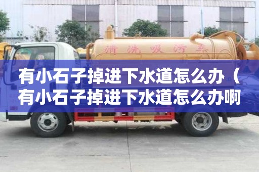 有小石子掉進(jìn)下水道怎么辦(有小石子掉進(jìn)下水道怎么辦啊) 有小石子掉進(jìn)下水道怎么辦(有小石子掉進(jìn)下水道怎么辦啊)