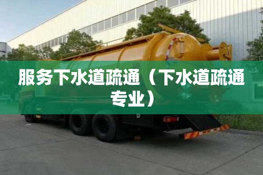 服務下水道疏通（下水道疏通專業）