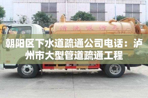 朝陽區下水道疏通公司電話：瀘州市大型管道疏通工程