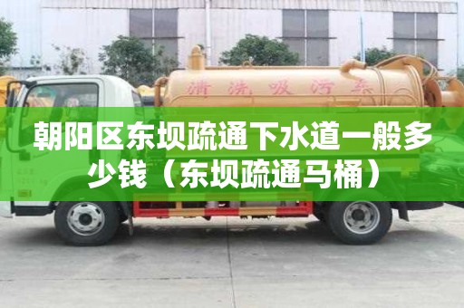 朝陽區東壩疏通下水道一般多少錢（東壩疏通馬桶）
