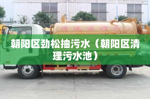 朝陽區勁松抽污水（朝陽區清理污水池）