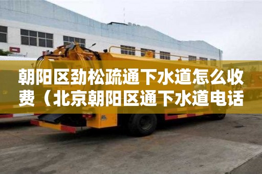 朝陽區勁松疏通下水道怎么收費（北京朝陽區通下水道電話）