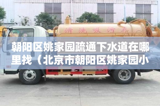 朝陽區姚家園疏通下水道在哪里找（北京市朝陽區姚家園小區）
