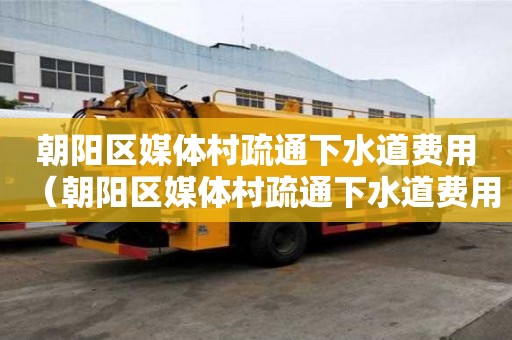 朝陽(yáng)區(qū)媒體村疏通下水道費(fèi)用（朝陽(yáng)區(qū)媒體村疏通下水道費(fèi)用多少錢）