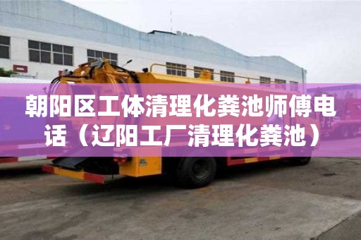 朝陽區工體清理化糞池師傅電話（遼陽工廠清理化糞池）