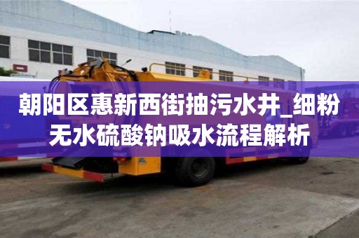 朝陽區惠新西街抽污水井_細粉無水硫酸鈉吸水流程解析