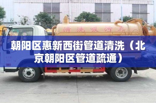朝陽區惠新西街管道清洗（北京朝陽區管道疏通）