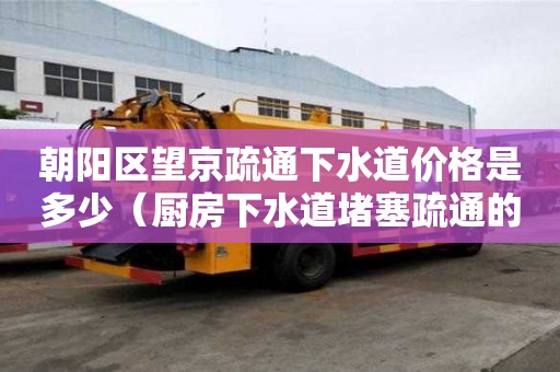 朝陽區望京疏通下水道價格是多少(廚房下水道堵塞疏通的最好辦法) 朝陽區望京疏通下水道價格是多少(廚房下水道堵塞疏通的最好辦法)
