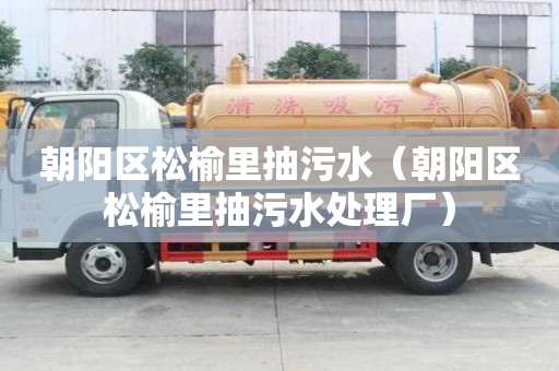朝陽區松榆里抽污水（朝陽區松榆里抽污水處理廠）