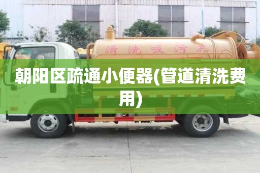 朝陽區疏通小便器(管道清洗費用)