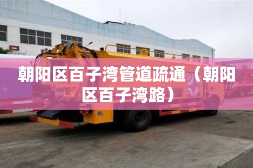 朝陽區(qū)百子灣管道疏通（朝陽區(qū)百子灣路）