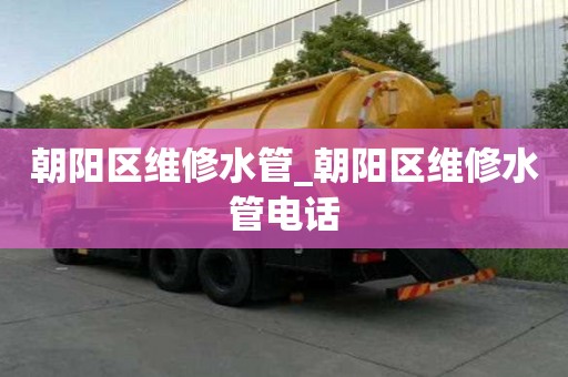 朝陽區維修水管_朝陽區維修水管電話