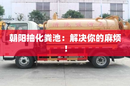 朝陽(yáng)抽化糞池：解決你的麻煩！