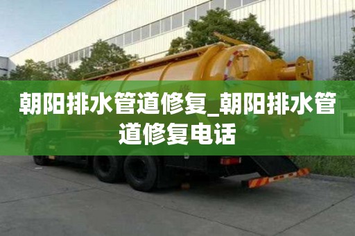 朝陽排水管道修復(fù)_朝陽排水管道修復(fù)電話