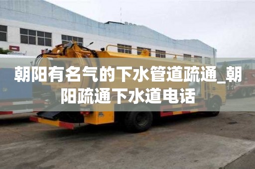 朝陽有名氣的下水管道疏通_朝陽疏通下水道電話