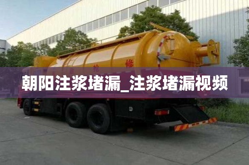 朝陽注漿堵漏_注漿堵漏視頻