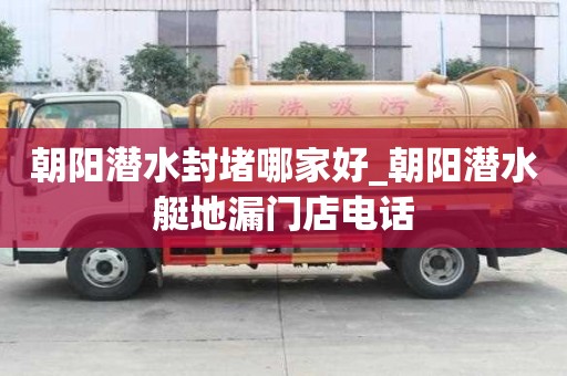 朝陽潛水封堵哪家好_朝陽潛水艇地漏門店電話