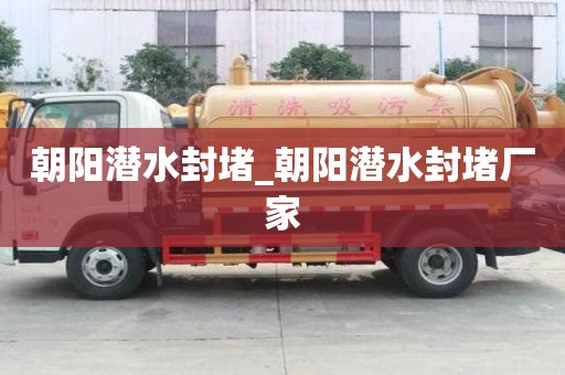 朝陽潛水封堵_朝陽潛水封堵廠家