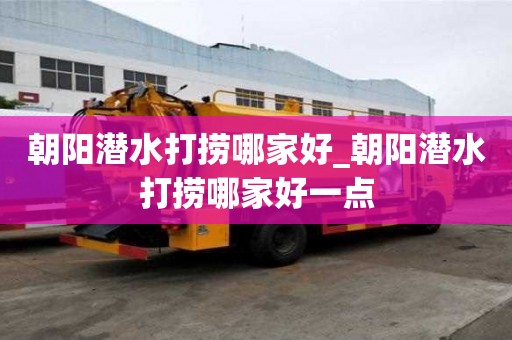 朝陽潛水打撈哪家好_朝陽潛水打撈哪家好一點