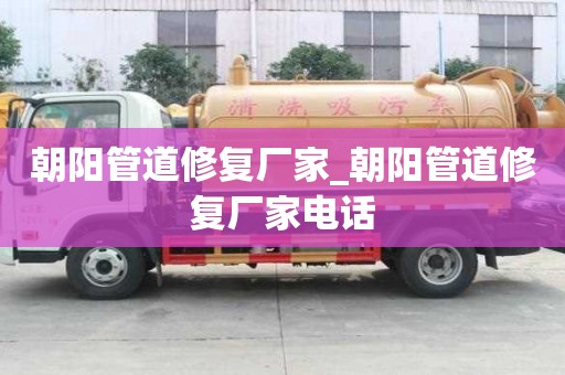 朝陽管道修復(fù)廠家_朝陽管道修復(fù)廠家電話