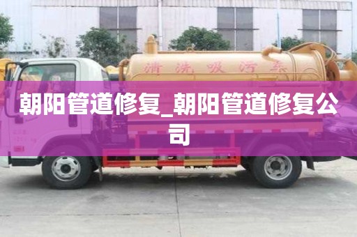 朝陽管道修復_朝陽管道修復公司