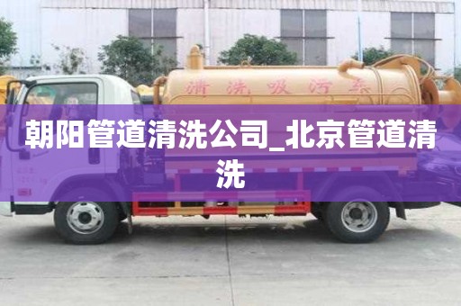 朝陽管道清洗公司_北京管道清洗