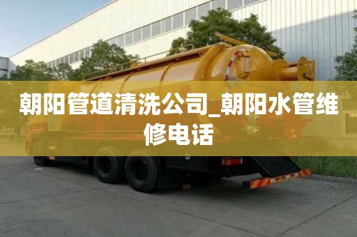 朝陽管道清洗公司_朝陽水管維修電話