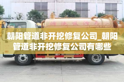 朝陽管道非開挖修復公司_朝陽管道非開挖修復公司有哪些