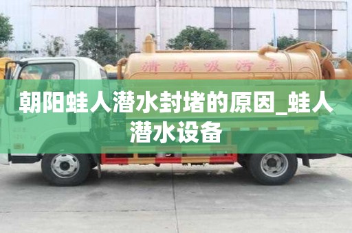 朝陽蛙人潛水封堵的原因_蛙人潛水設備