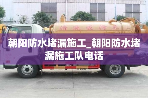 朝陽防水堵漏施工_朝陽防水堵漏施工隊電話