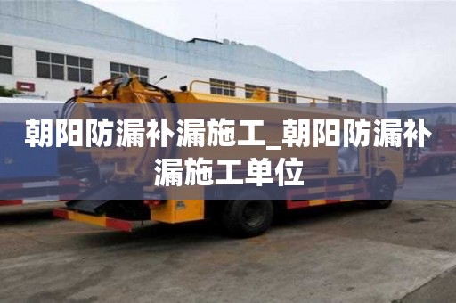朝陽防漏補漏施工_朝陽防漏補漏施工單位